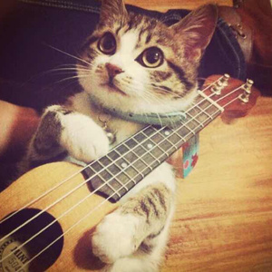 免费一级毛片毛多水多
