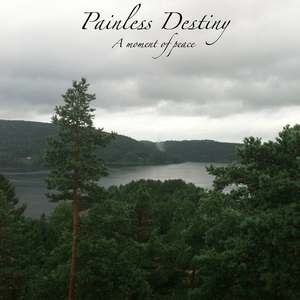 免费一级毛片毛多水多
