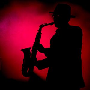 免费一级毛片毛多水多
